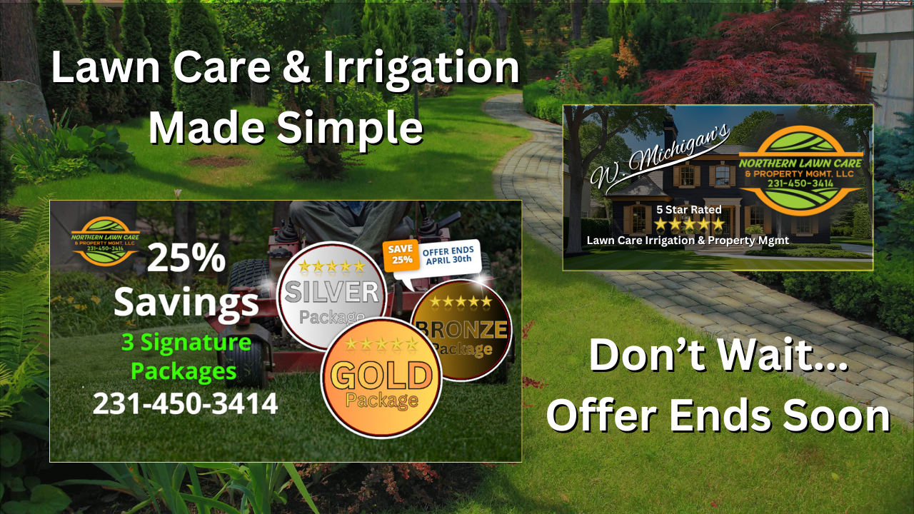 NLC All In 1 Service