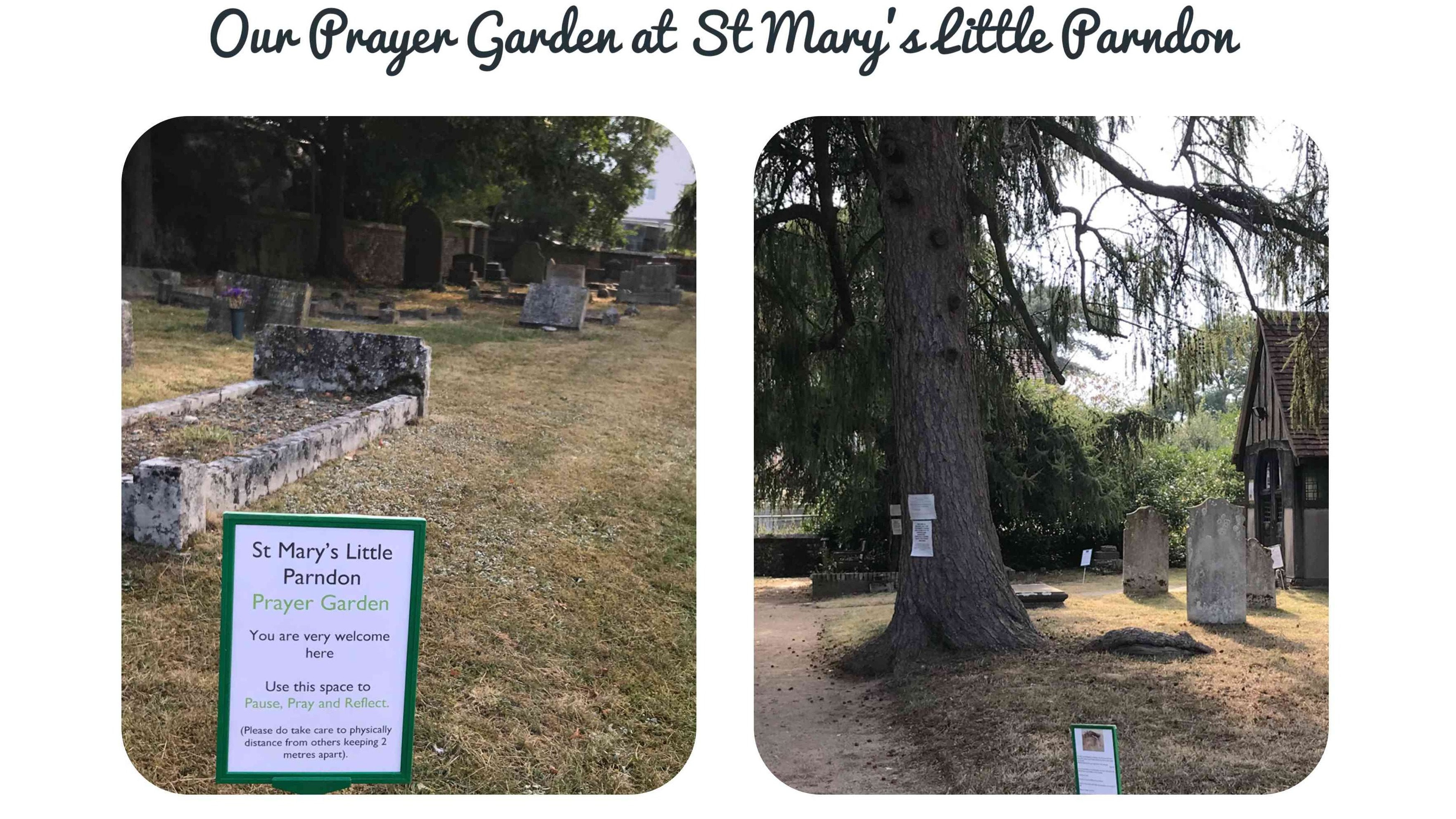 A Prayer garden can help your prayer life when you struggle in prayer, or at any other time.