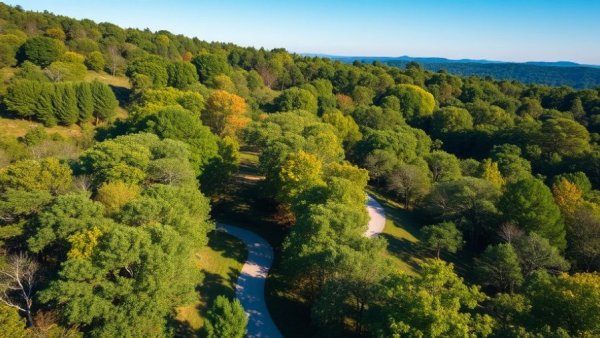 Aerial view of Hugh S. Branyon Backcountry Trail winding through lush forest.
