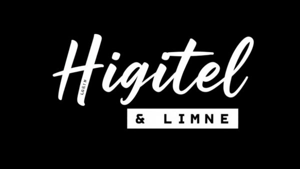 Digital Tribes logo represents Health and Wellness Marketing Services for Chiropractors.