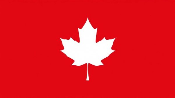 Chiropractic Patient Safety Reporting System maple leaf symbol, minimalist.