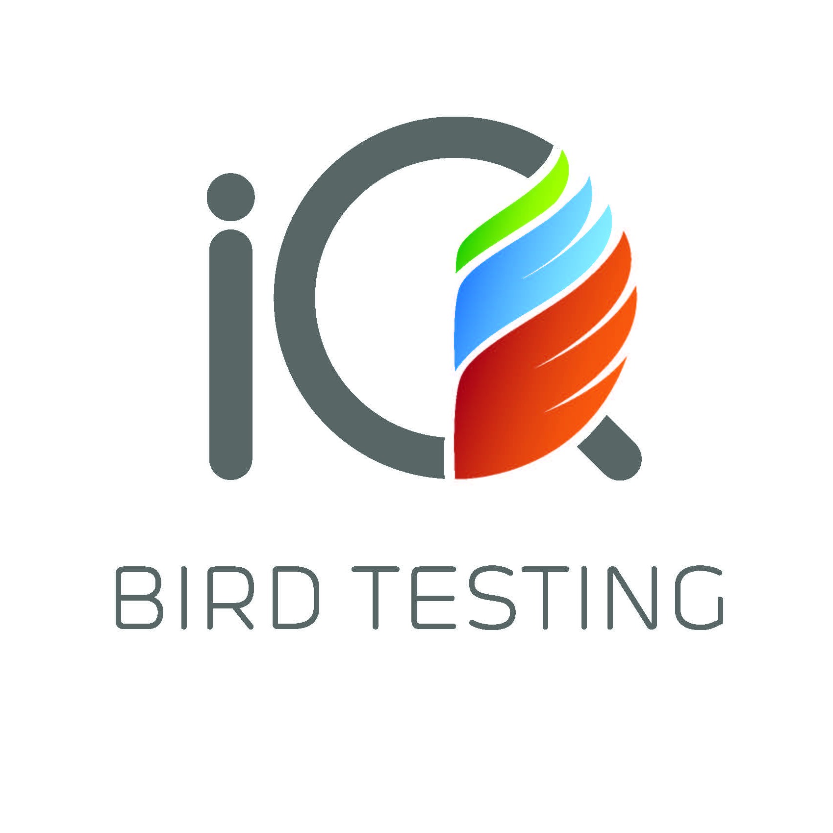 IQ Bird testing