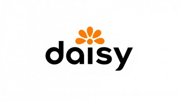 Daisy logo with stylized design on white background.