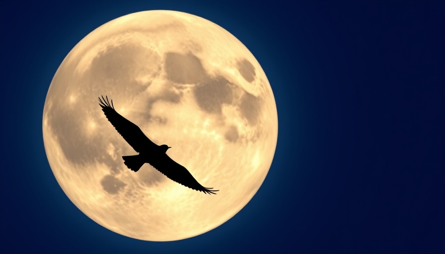 Bird silhouetted against full moon in twilight sky for moon-watching.