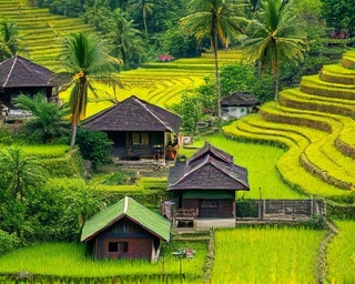 spirited expat, reflective, journaling, photorealistic, quaint village in rural Bali surrounded by lush rice terraces, highly detailed, gentle breeze swaying palm trees, green hues, soft ambient light, shot with a 50mm lens.