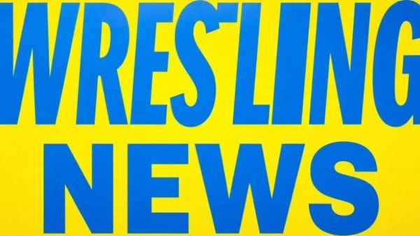 Bold blue 'Wrestling News' text on bright yellow background for Wrestling Viewership Updates.