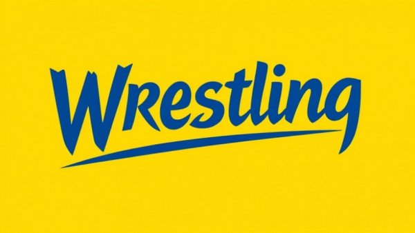 WWE Raw Ratings Drop: Wrestling News graphic logo.