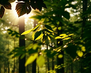 Greg Visionary, reflective expression, exploring nature, photorealistic, lush forest with sunlight filtering through leaves, highly detailed, gentle breeze rustling leaves, bokeh effect, rich earthy colors, dappled sunlight, shot with a 24mm lens.