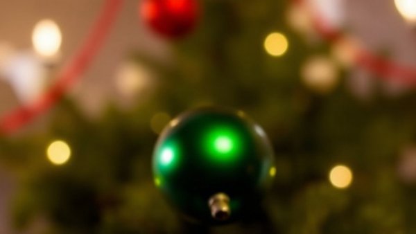 25 Festive Ways to Celebrate the Holidays in Austin