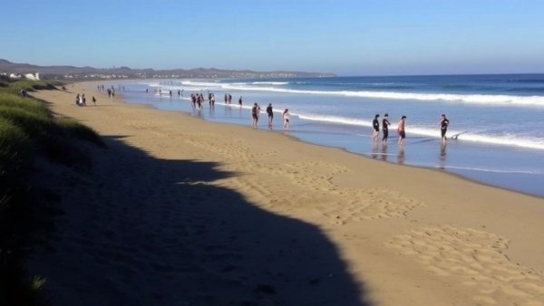 Surfer bitten by shark at Sonoma County beach, authorities say