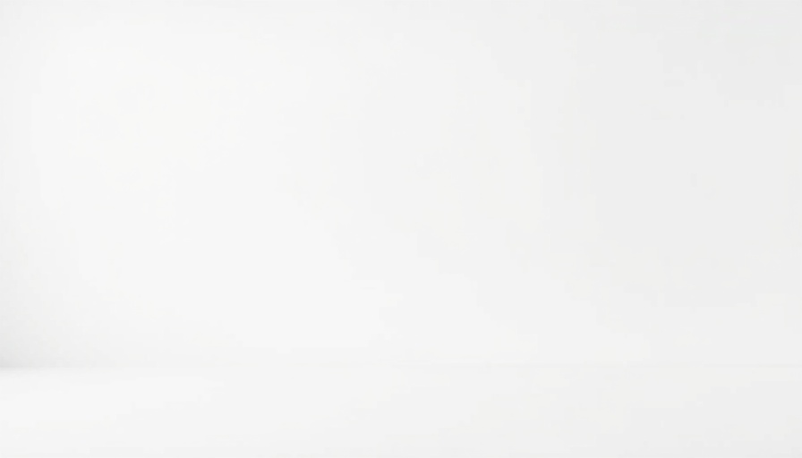 Plain white background with no design elements.