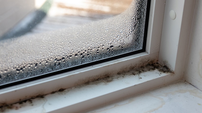 mold in window frame caused by condensation