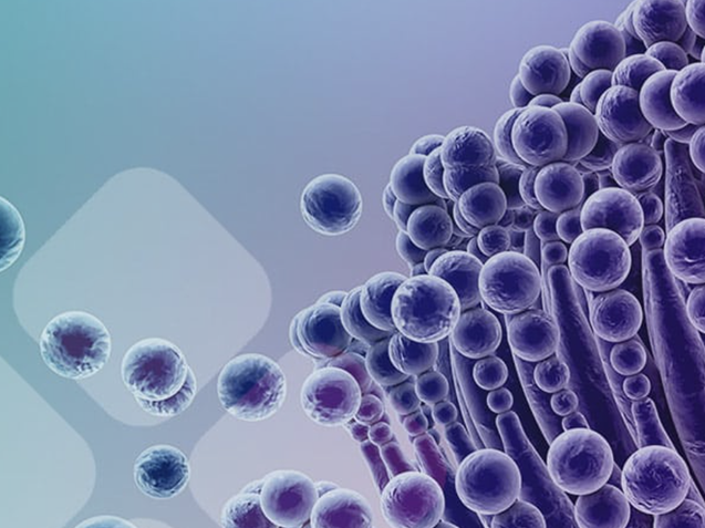 Mycotoxins released from mold