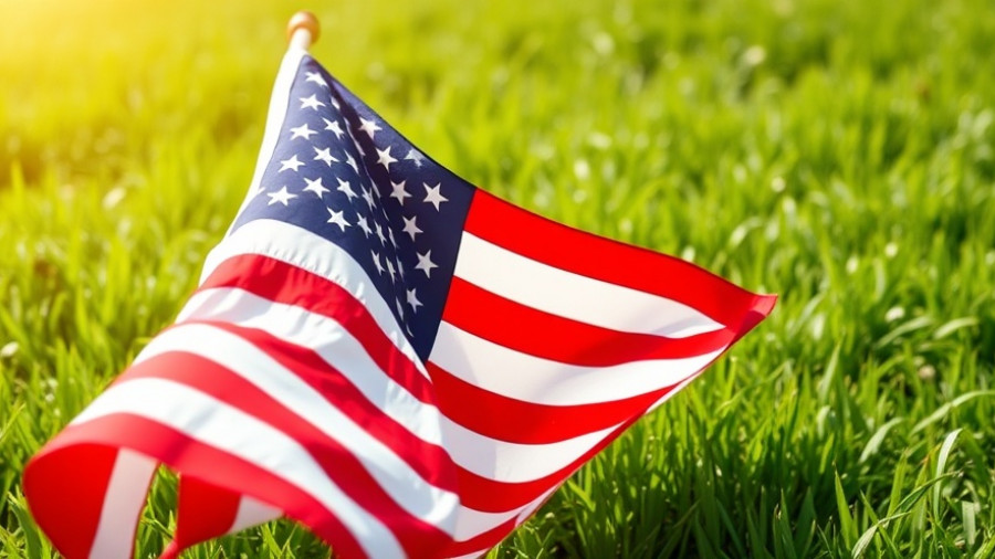 American flag in field, symbolizing Veterans Day.