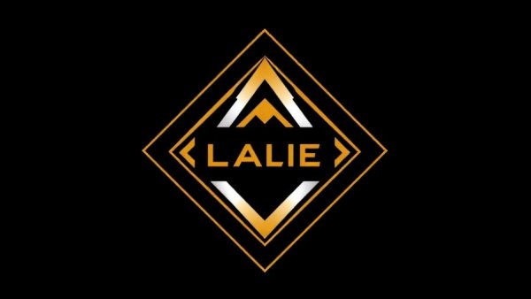 Geometric diamond logo with stylized text