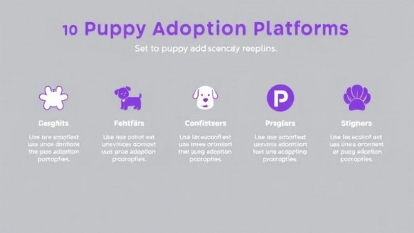 Infographic on top national puppy adoption platforms, best puppy adoption websites.