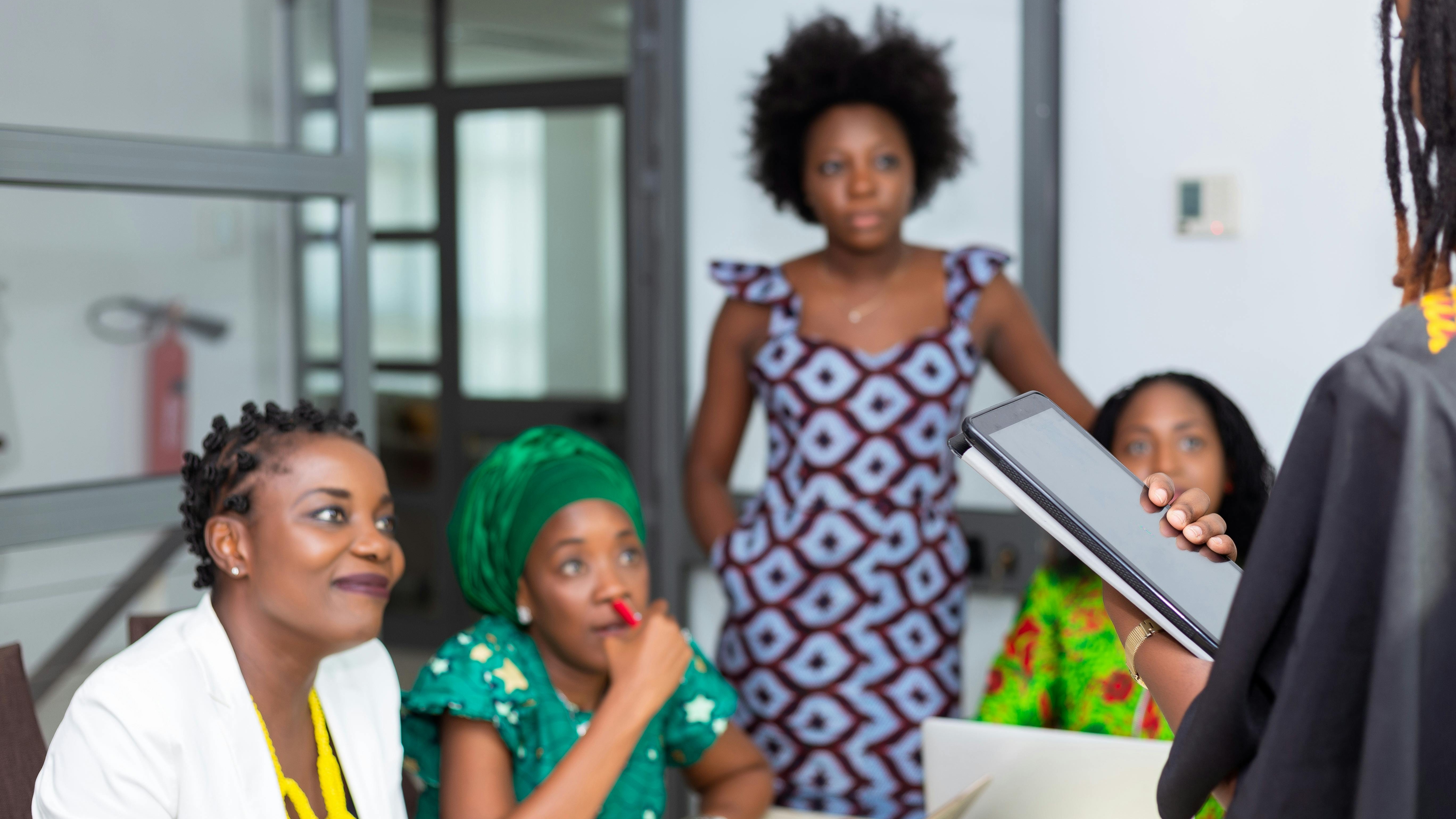 Fluffy Pomeranian being groomed with tools, cheerful expression.