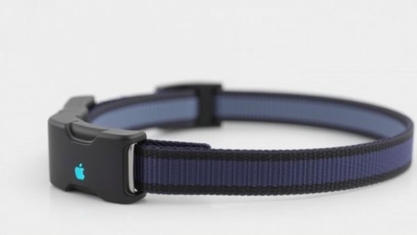 Fi’s new collar taps Starlink’s direct-to-cell to track dogs off the grid