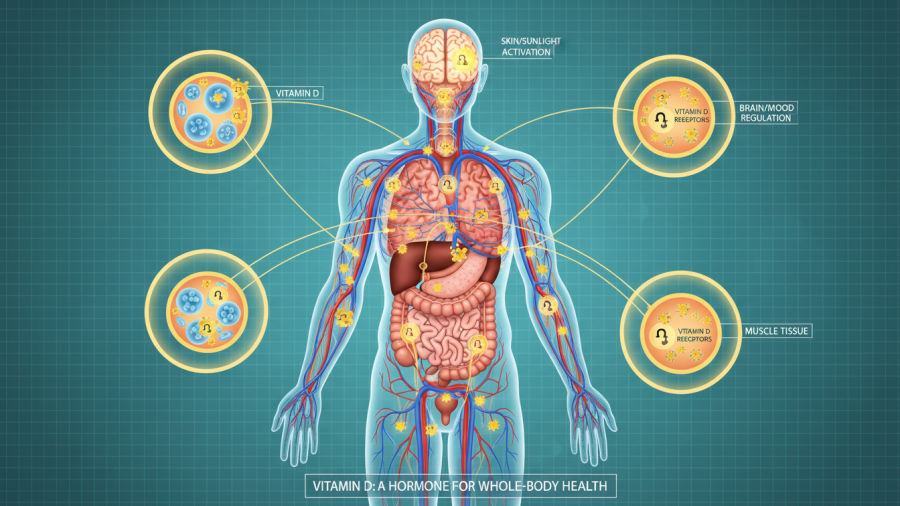 Vitamin D receptors in the body highlight vitamin D deficiency in Sacramento.