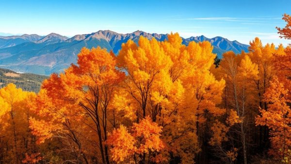 Golden autumn trees with mountain backdrop, corner crossing public land.