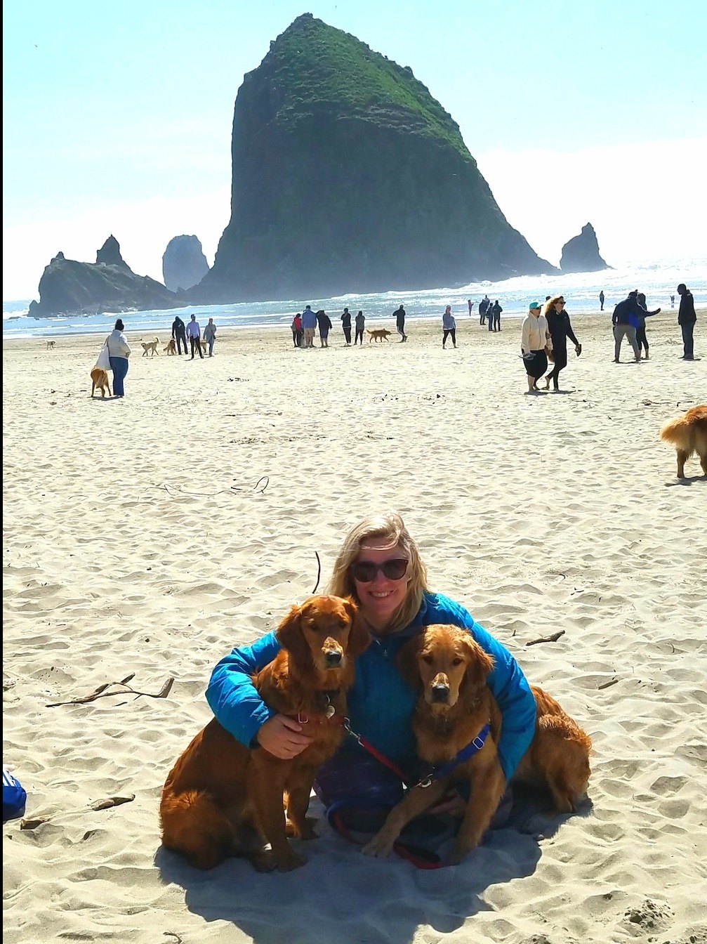 harmonious naturopathic wellness, meditative expression, centering, photorealistic, cozy wellness room with earthy decor and healing crystals, highly detailed, gentle essential oil diffusion, fine texture clarity, soothing pastels, dimmed candlelight lighting, shot with a wide-angle lens.