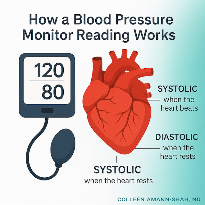 illustration "How a Blood Pressure Monitor Reading Works"_BP monitor, heart, systolic, diastolic