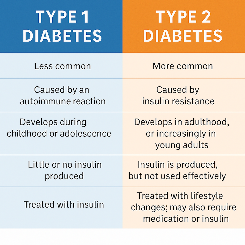  Simple diagram showing insulin’s role in helping glucose enter cells