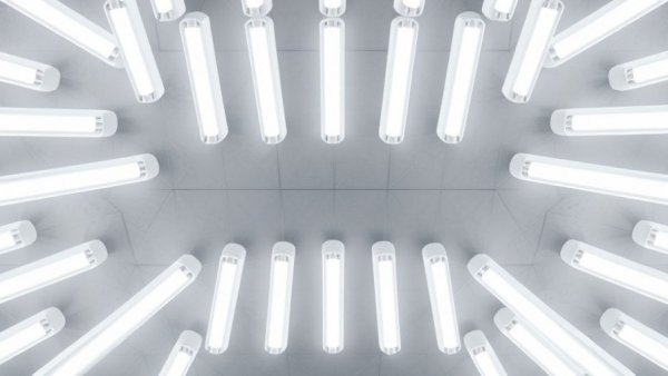 LED tubes displayed for choosing the best LEDs for your business.