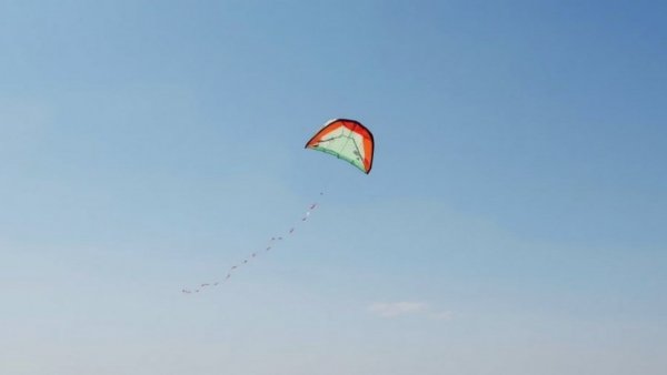 Kite TOXIC culture
