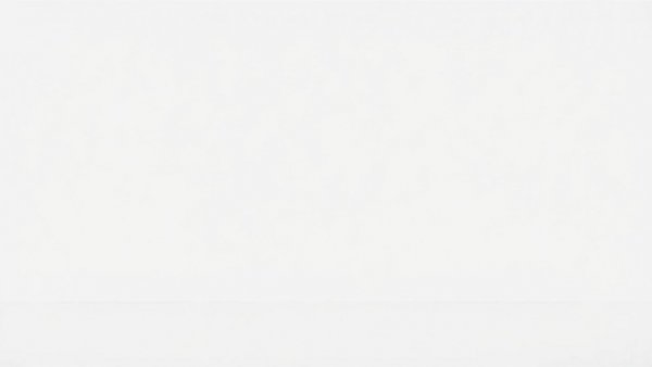Blank white canvas, no features, empty scene.