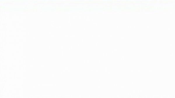 Empty white background representing blank space.