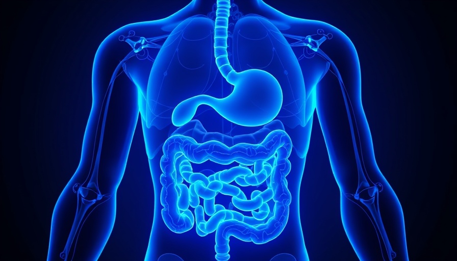 Futuristic 3D blue human digestive system, D-lactate diabetes trigger