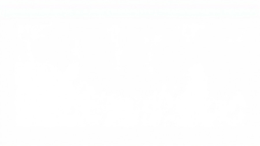 Blank white image canvas, pure white background.