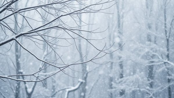 Heavy snowfall in Kalamazoo County during whiteout conditions.