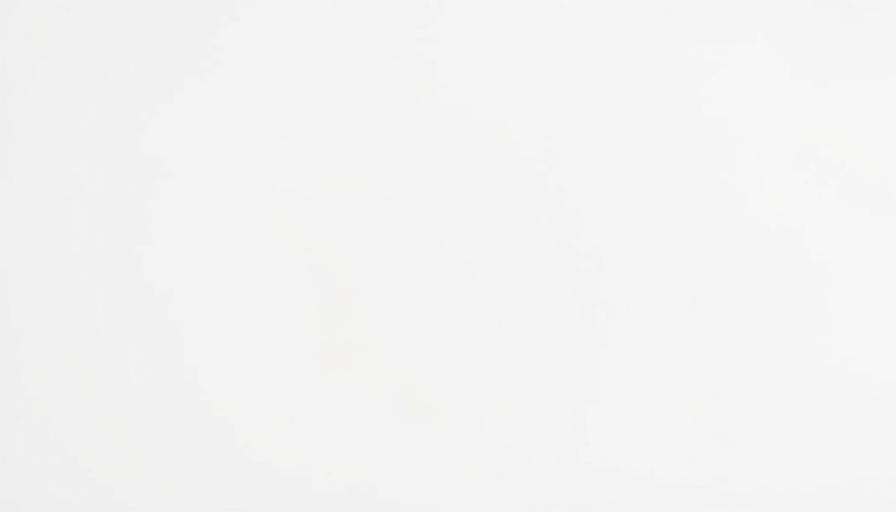 Minimalistic white blank image with no features.