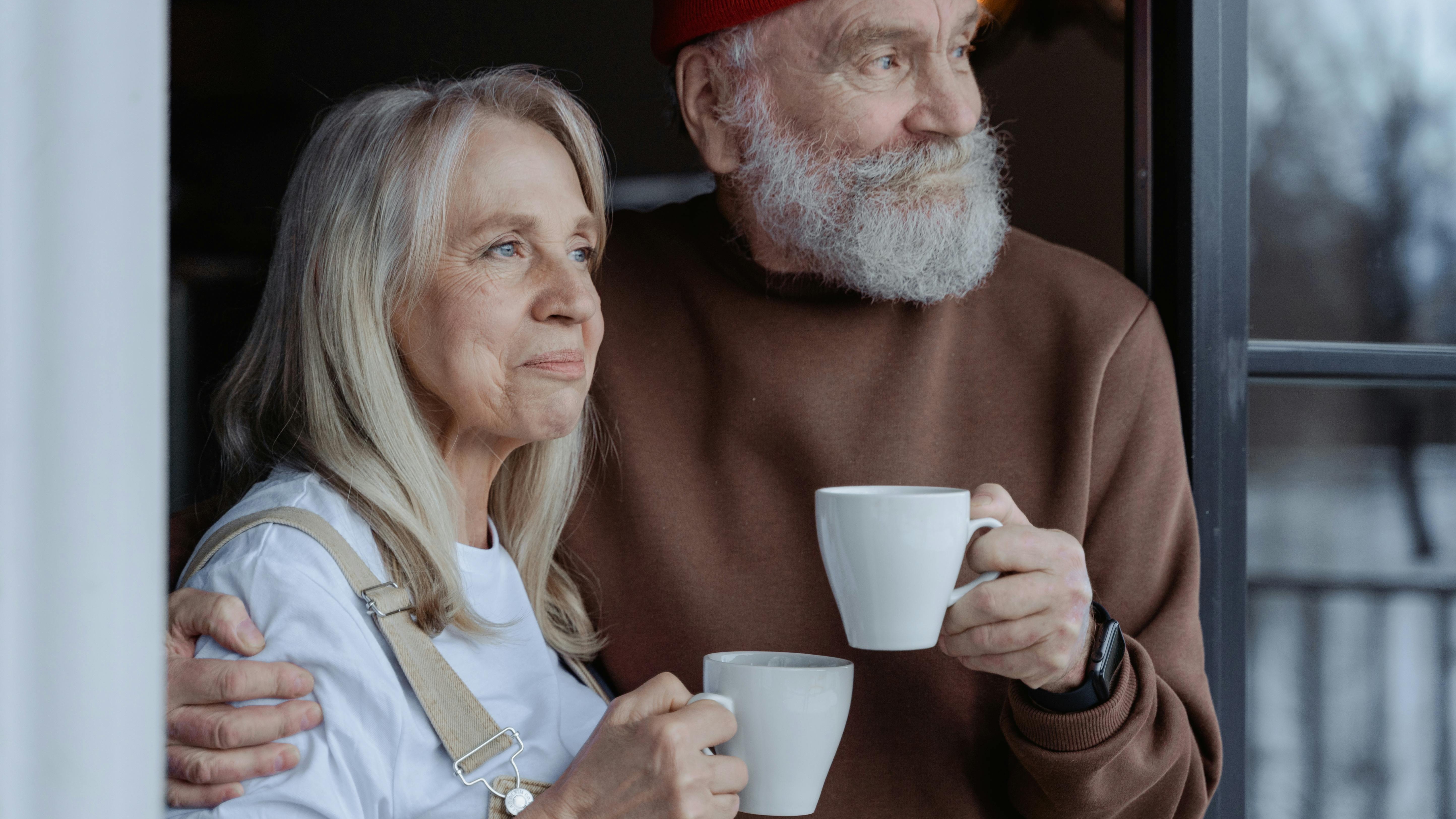 elderly couple, content expressions, evaluating their estate assets, photorealistic, sunlit living room with vintage furniture and greenery, highly detailed, laptop and documents present, 50mm lens, warm hues, natural lighting