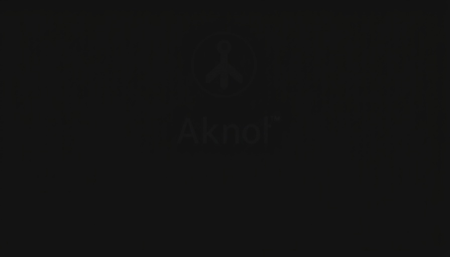 Blurred image with faint text, dark theme, Who Was Healed at Bethesda