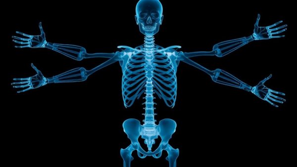 Futuristic skeletal scan showing multiple arms, elektronische Patientenakte concept.