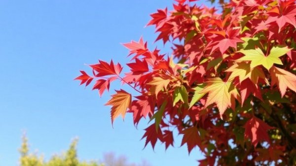 Bloß nicht wegwerfen: So wertvoll ist Herbstlaub in Ihrem Garten