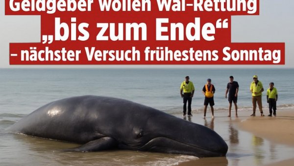 Geldgeber wollen Wal-Rettung „bis zum Ende“ – nächster Versuch frühestens Sonntag