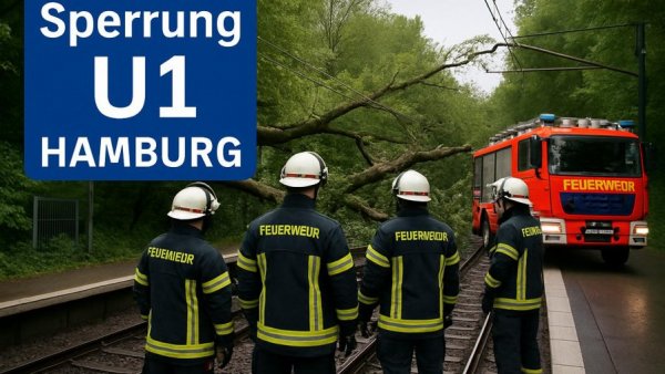 Sperrung auf Hamburger U1-Linie – Feuerwehr für umgekippten Baum im Einsatz
