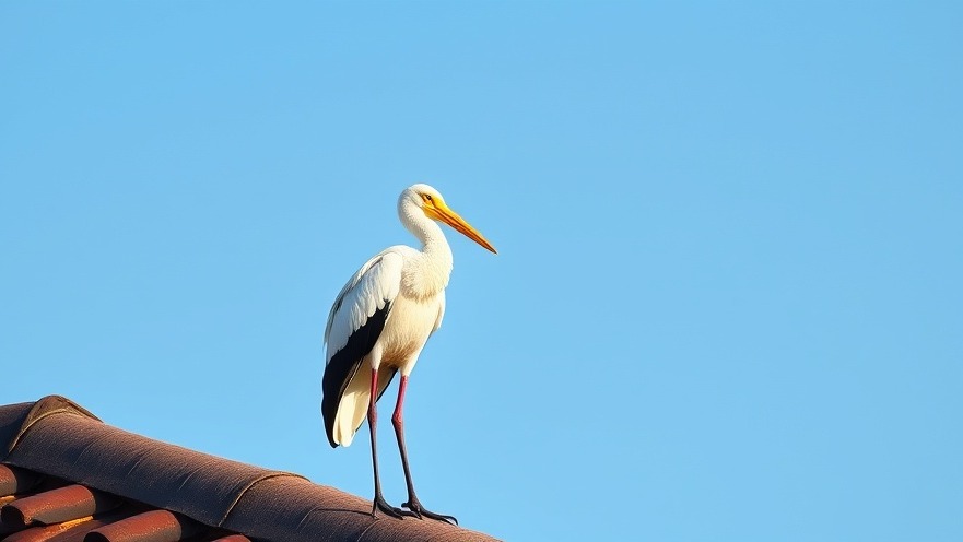 Elegant white stork on rooftop in Stormarn, showcasing biodiversity and natural beauty.