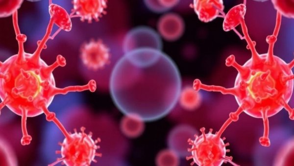 Butyrate's Impact on Your Immune System