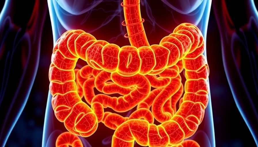How DMSO Heals the Gut and Cures Gastrointestinal Diseases