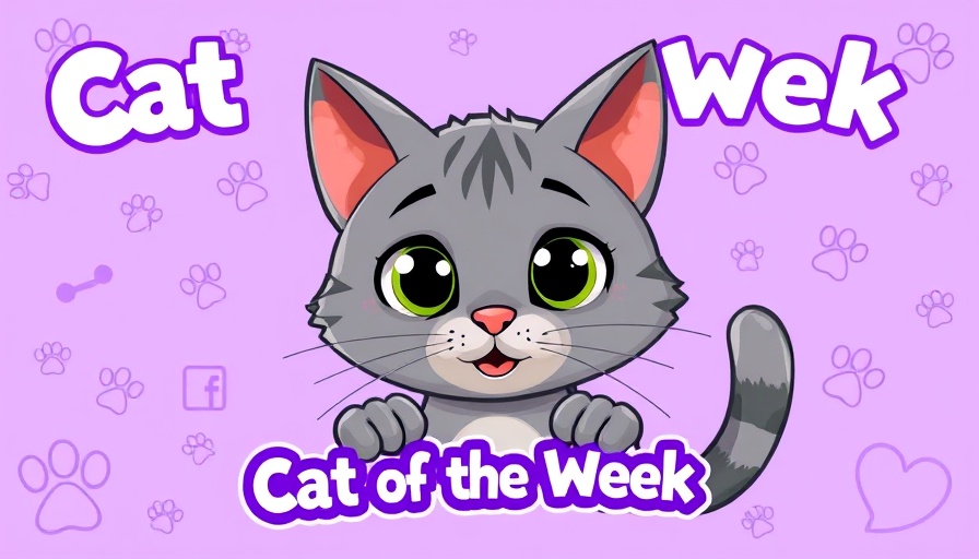 Catster Photo Contest Winners graphic featuring 'Cat of the Week'.