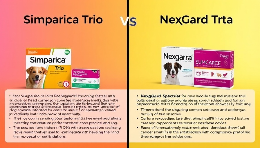 Comparison of Simparica Trio vs NexGard Spectra dog medications.