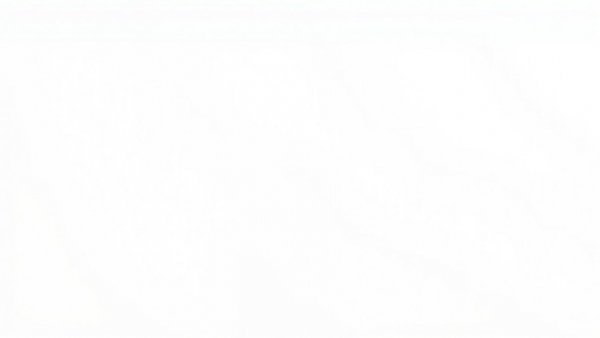 Clean white background symbolizing the culture of accountability.