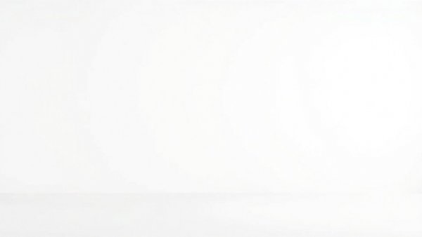 Minimalist white space for Entrepreneurs Guide to Letting Go and Scaling Up.