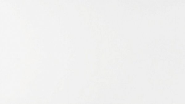 White canvas abstract minimalism, representing simplicity.