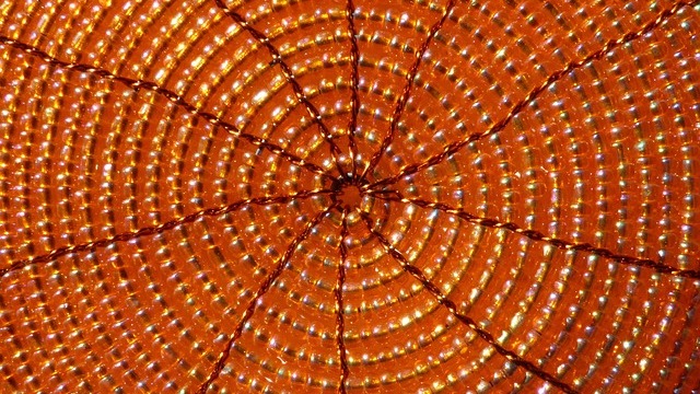 Coastal outdoor rug in a cozy garden patio setup.